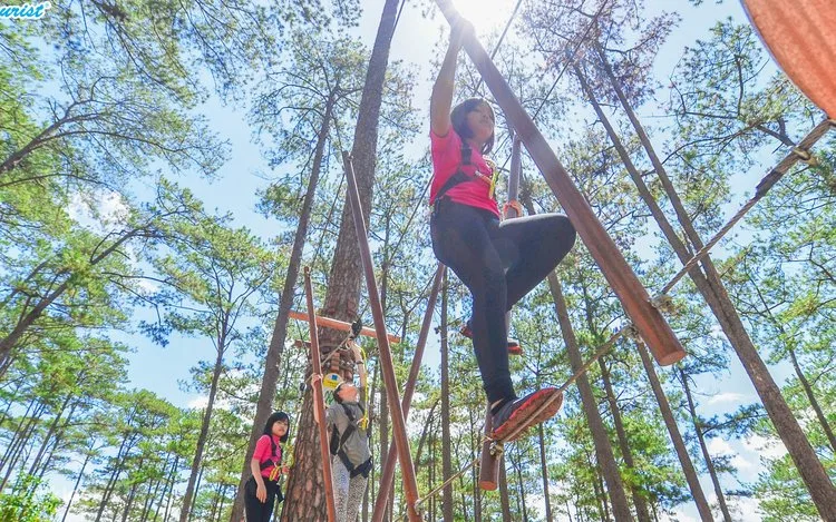 High Rope Activities