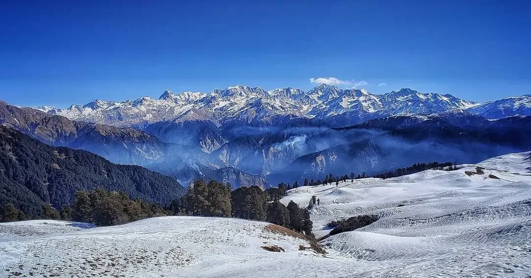 Dayara Bugyal Trek in Winter
