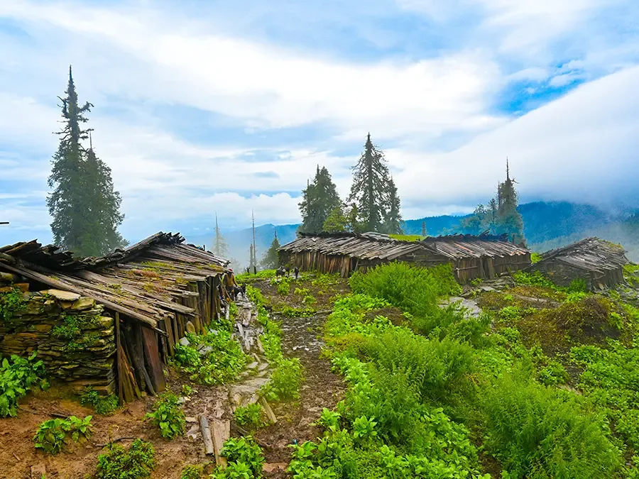 Dodital Trek
